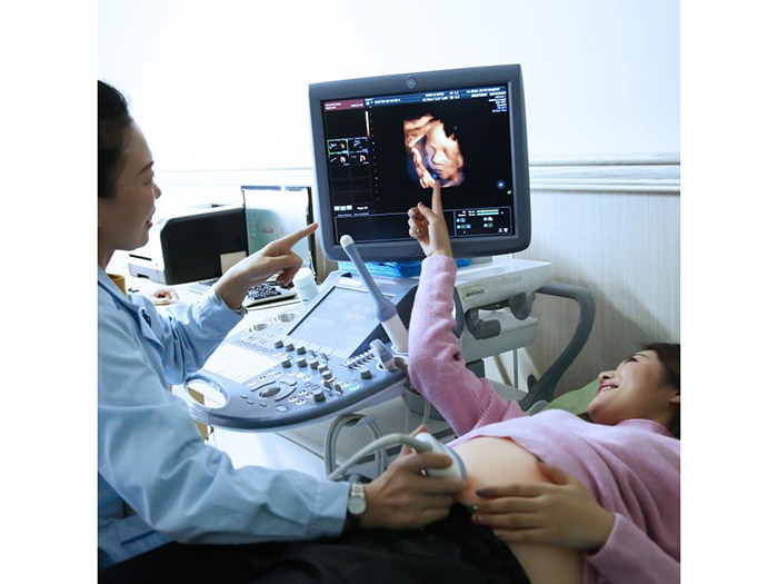 美國(guó)GE-E10四維彩超